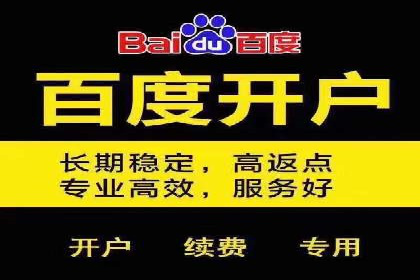 百度推广技巧分享：成功案例解析